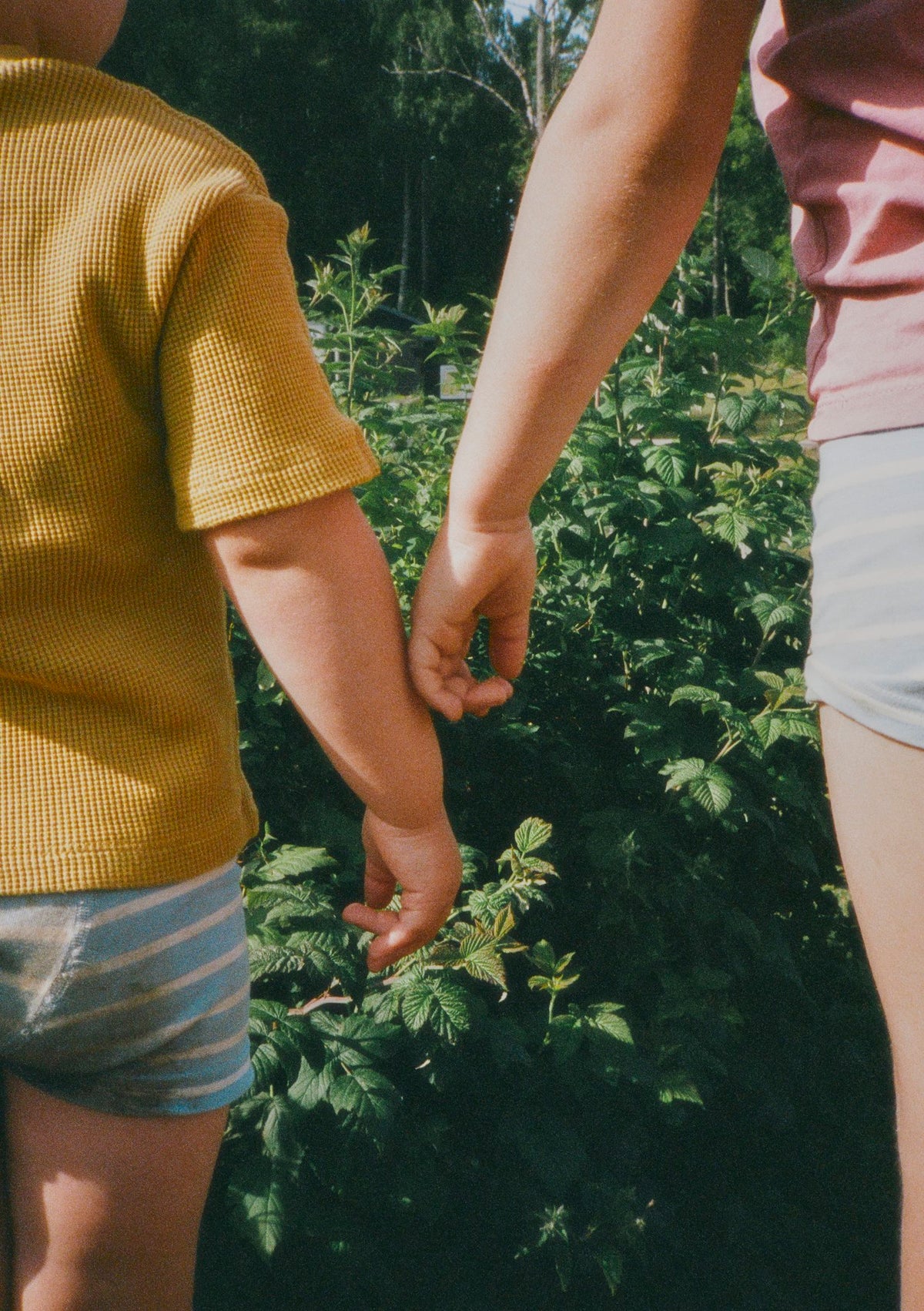 Photograph by Kamilla Musland, Hillvale Photo Trophy 2026 entry #0630