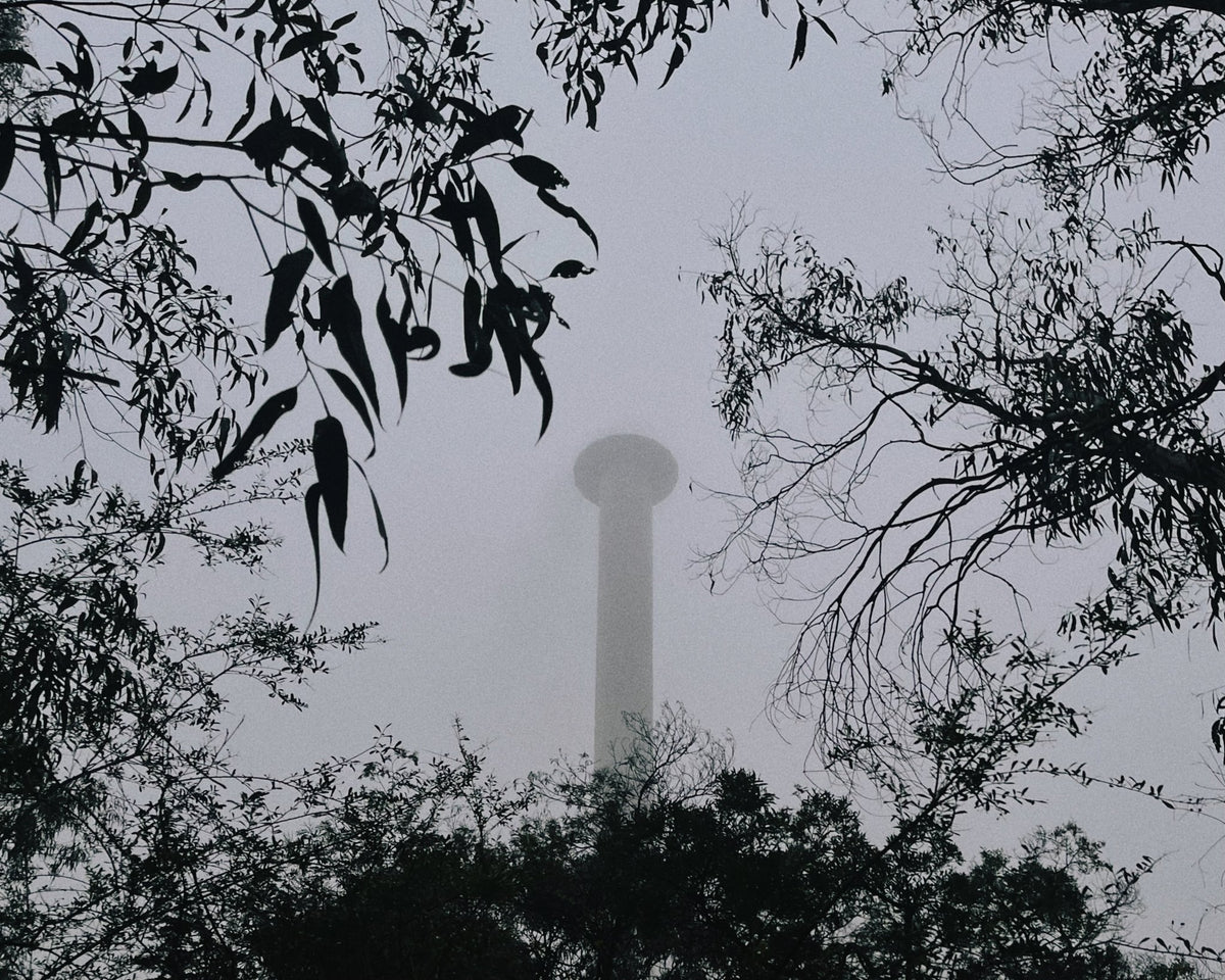 Photograph by Andrew Ng, Hillvale Photo Trophy 2026 entry #0637