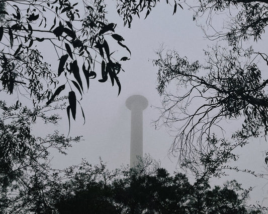 Photograph by Andrew Ng, Hillvale Photo Trophy 2026 entry #0637