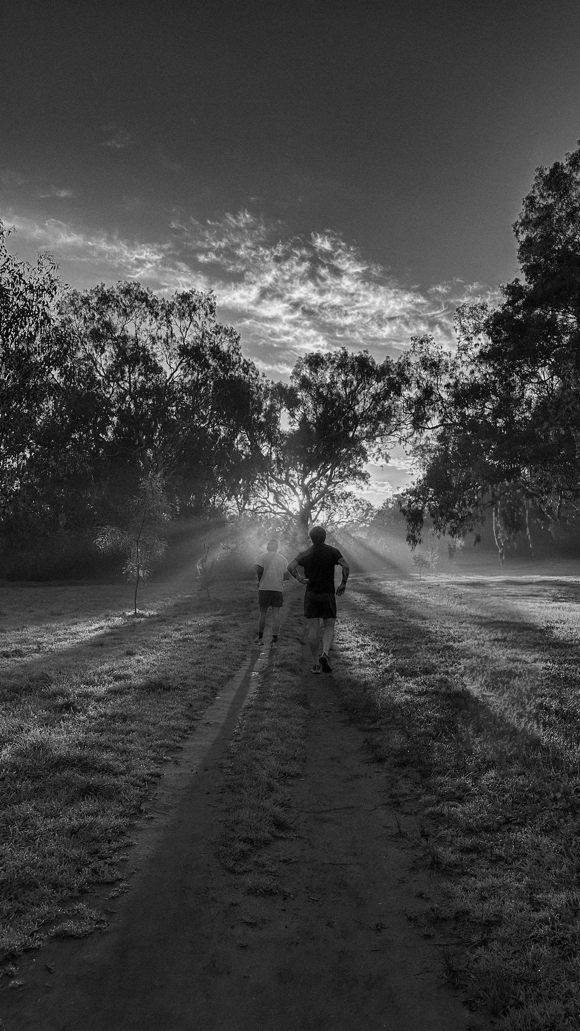 Photograph by Andrew Ng, Hillvale Photo Trophy 2026 entry #0638