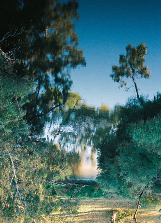 Photograph by Faith O'Connor Ludowyke, Hillvale Photo Trophy 2026 entry #0652