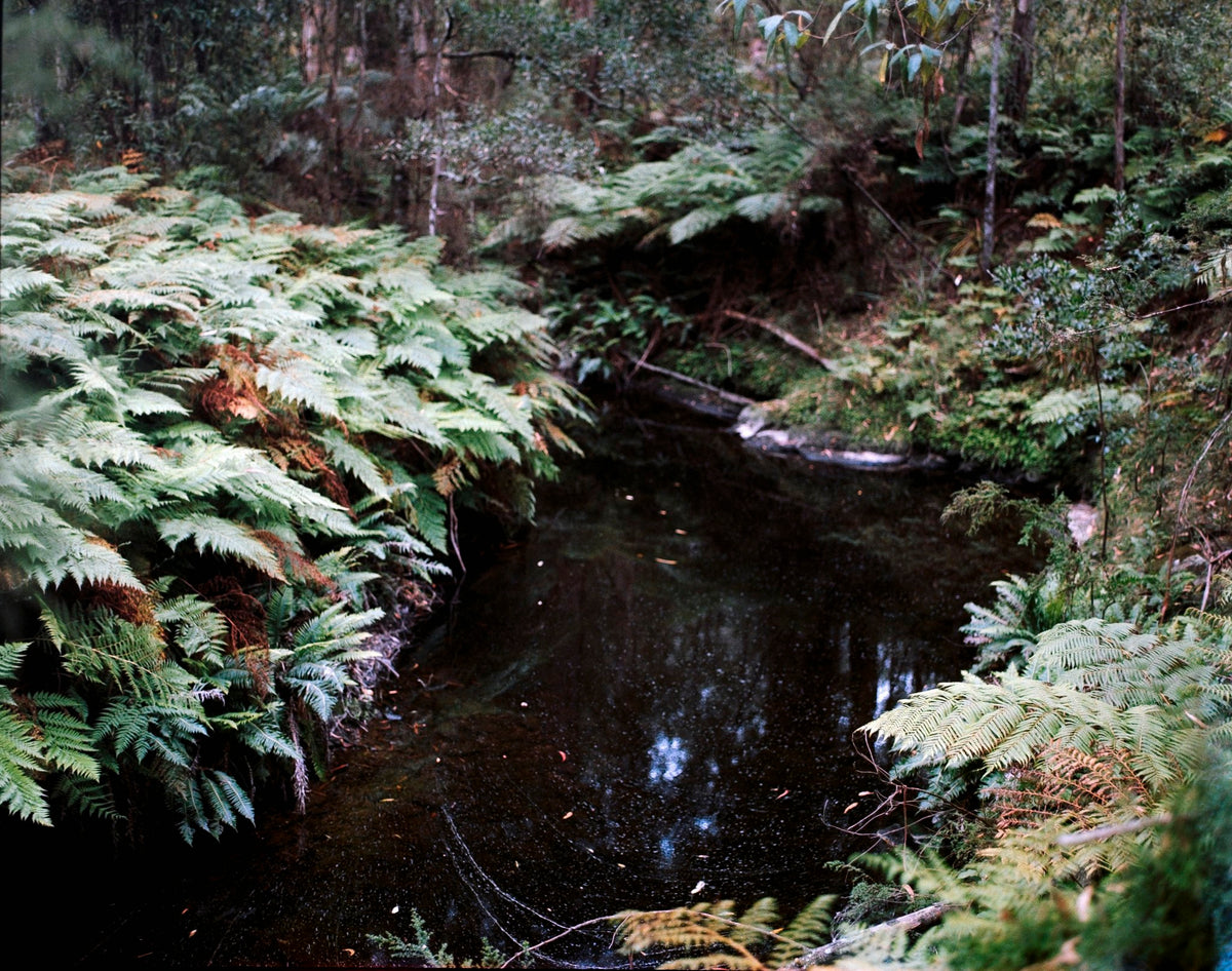 Photograph by Michaela Ottone, Hillvale Photo Trophy 2026 entry #0668