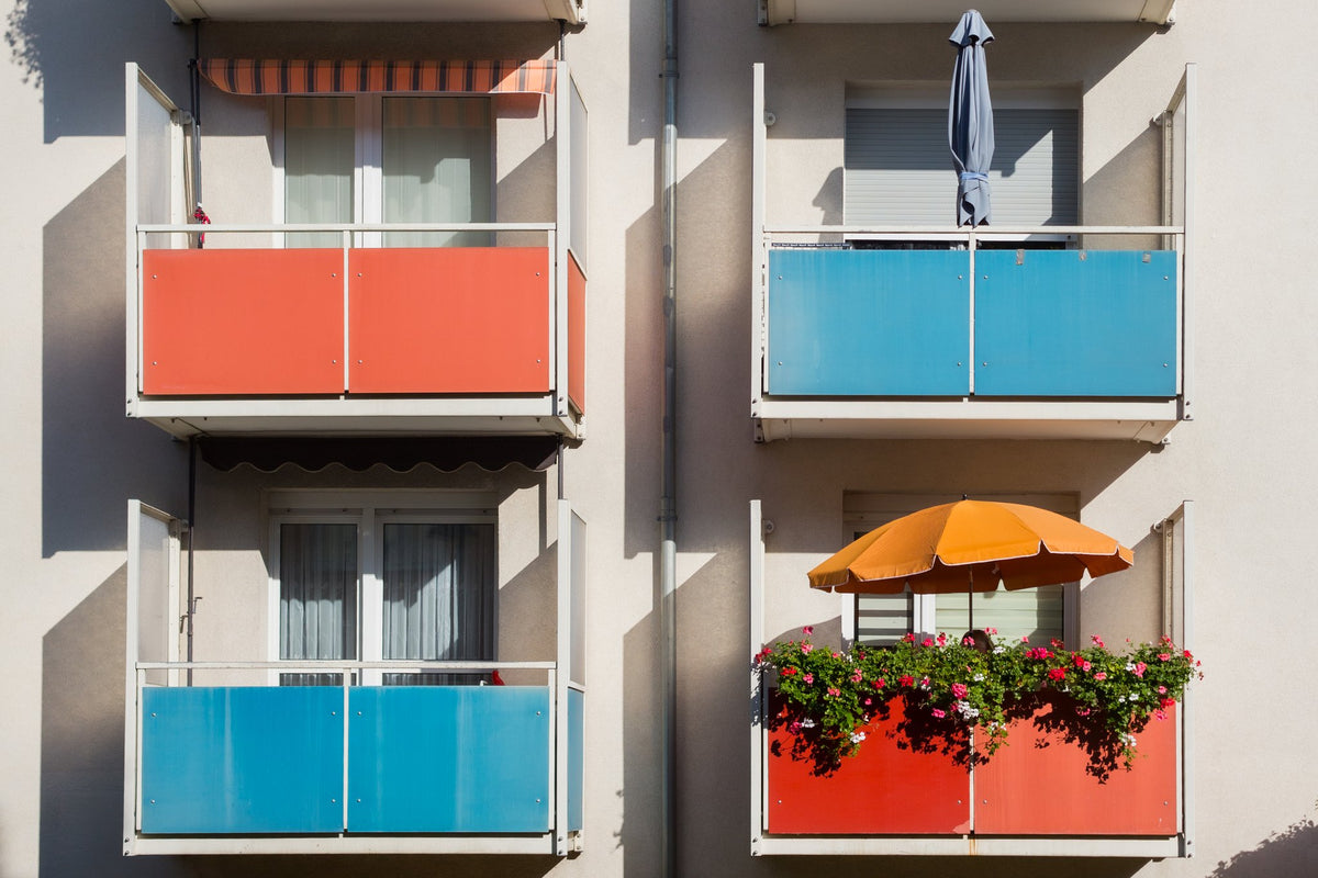 Photograph by Cerissa Papanastasiou, Hillvale Photo Trophy 2026 entry #0678