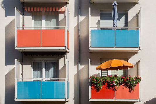 Photograph by Cerissa Papanastasiou, Hillvale Photo Trophy 2026 entry #0678