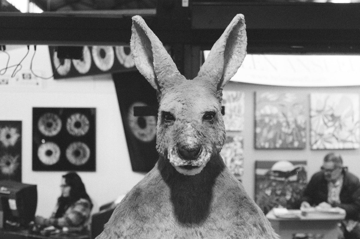 Photograph by Adam Paterson, Hillvale Photo Trophy 2026 entry #0684