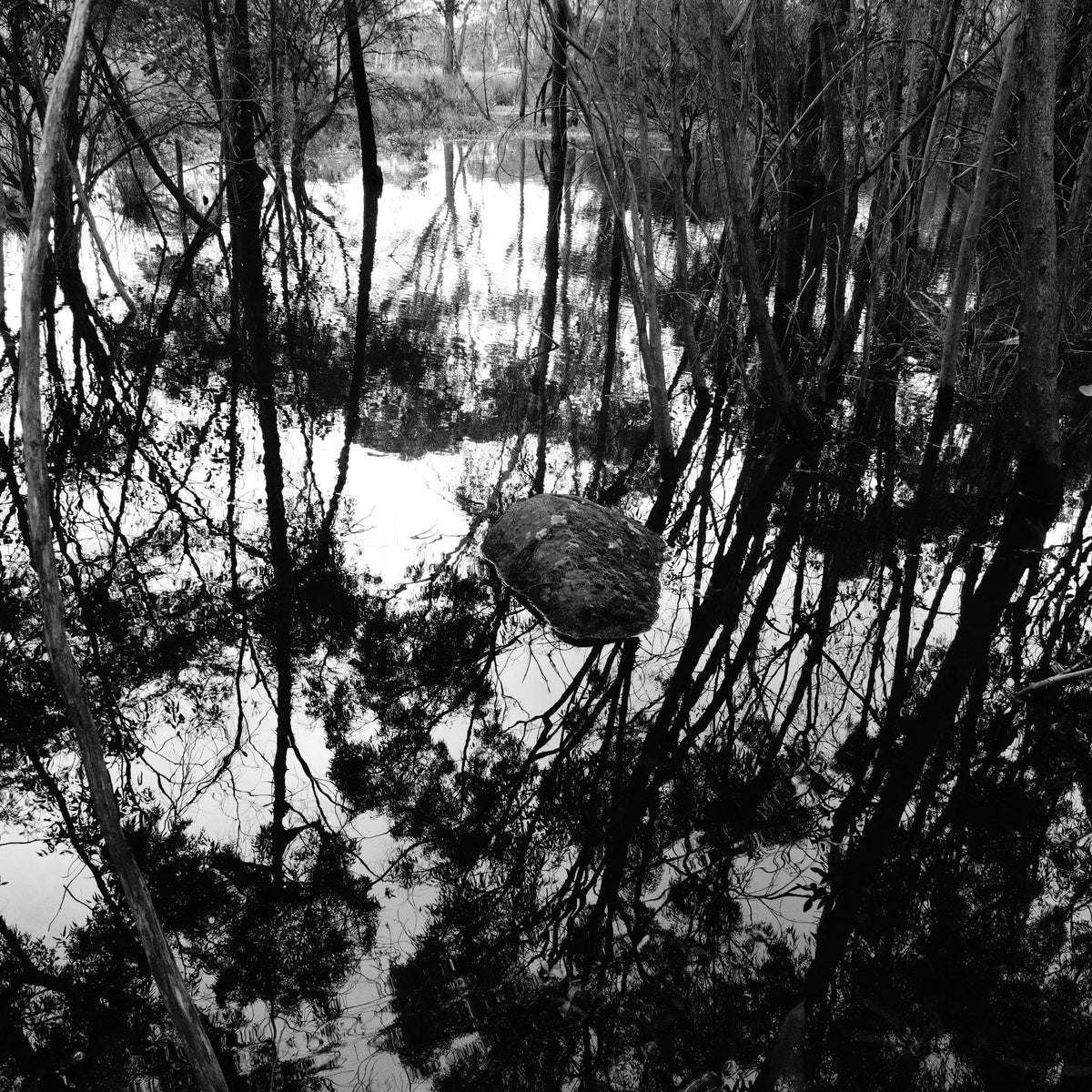 Photograph by Mark Payne, Hillvale Photo Trophy 2026 entry #0691