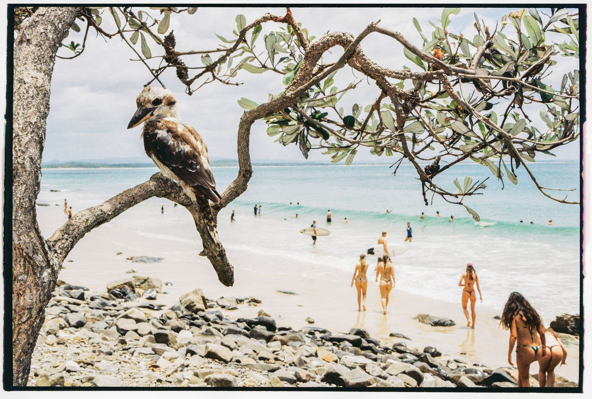 Photograph by Emma Perry, Hillvale Photo Trophy 2026 entry #0700