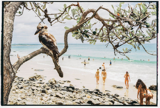 Photograph by Emma Perry, Hillvale Photo Trophy 2026 entry #0700