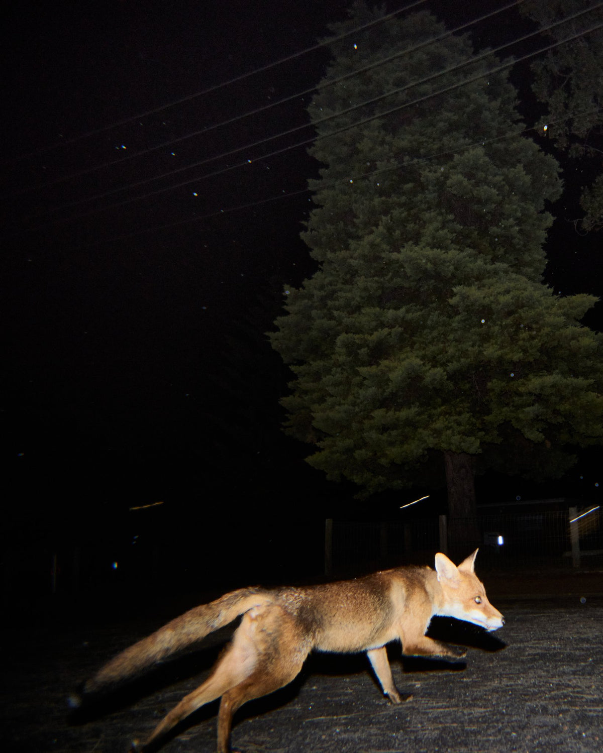 Photograph by Wilhelm Philipp, Hillvale Photo Trophy 2026 entry #0705