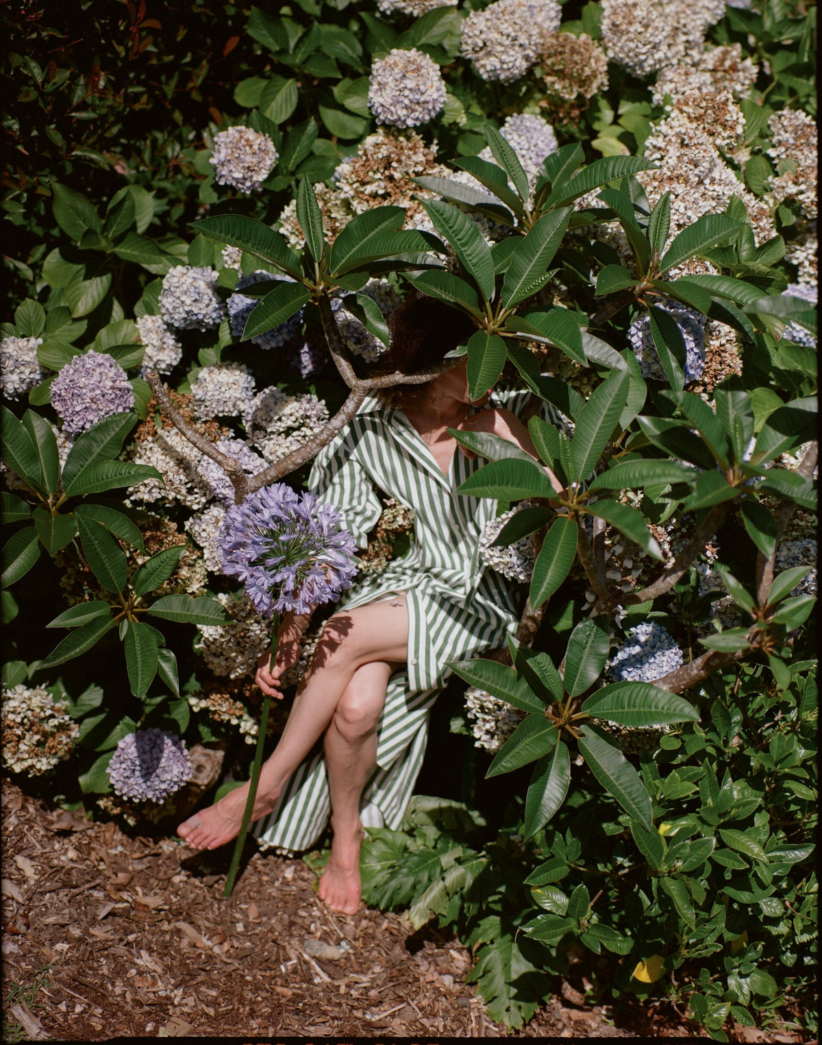 Photograph by Anna Pihan, Hillvale Photo Trophy 2026 entry #0707