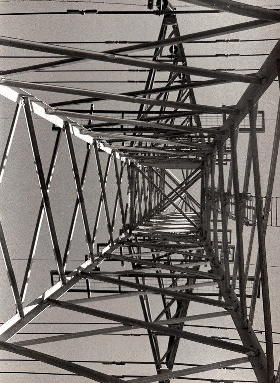 Photograph by Celia Pollard, Hillvale Photo Trophy 2026 entry #0713