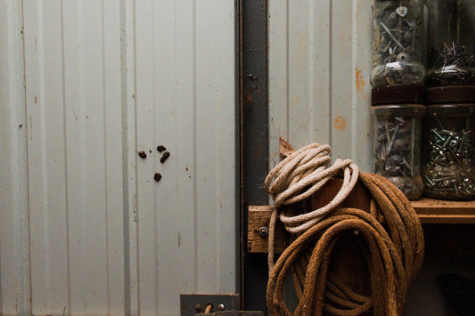 Photograph by Lachlan Randell, Hillvale Photo Trophy 2026 entry #0743