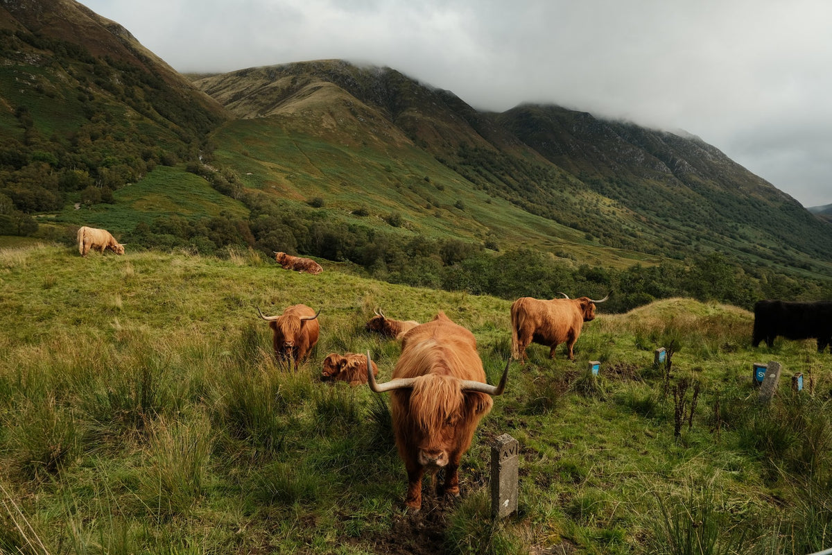 Photograph by Harlie Rapley, Hillvale Photo Trophy 2026 entry #0749