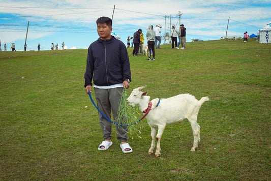 Photograph by Birgitta Rinaldi, Hillvale Photo Trophy 2026 entry #0762