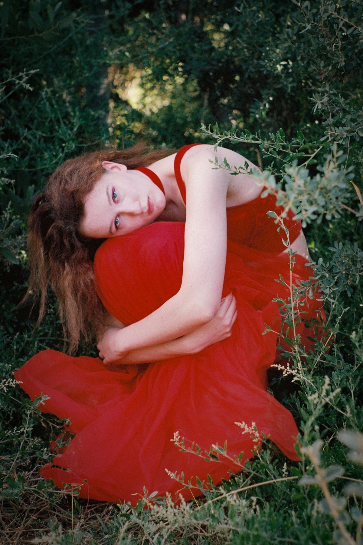 Photograph by Kayne Roy John, Hillvale Photo Trophy 2026 entry #0774