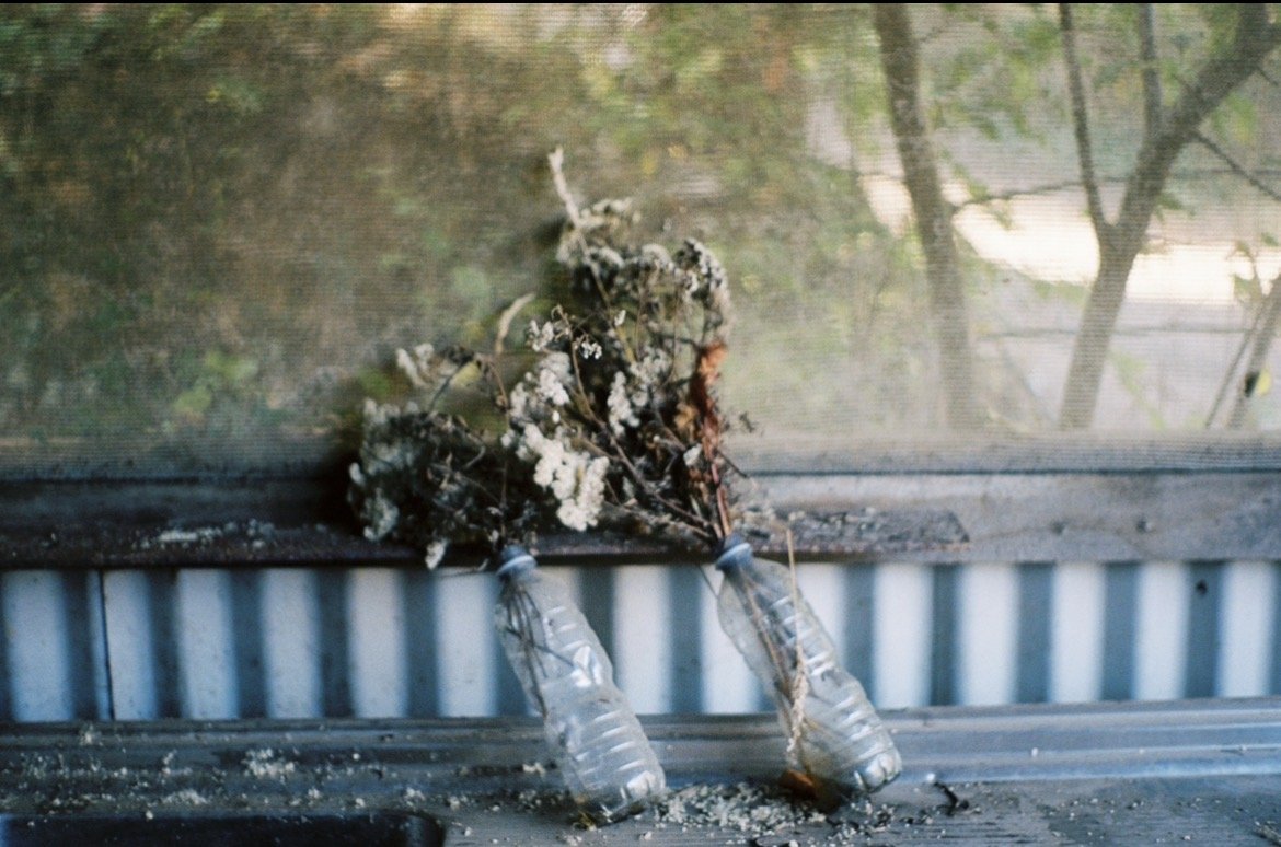 Photograph by Kayne Roy John, Hillvale Photo Trophy 2026 entry #0775