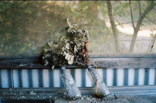 Photograph by Kayne Roy John, Hillvale Photo Trophy 2026 entry #0775