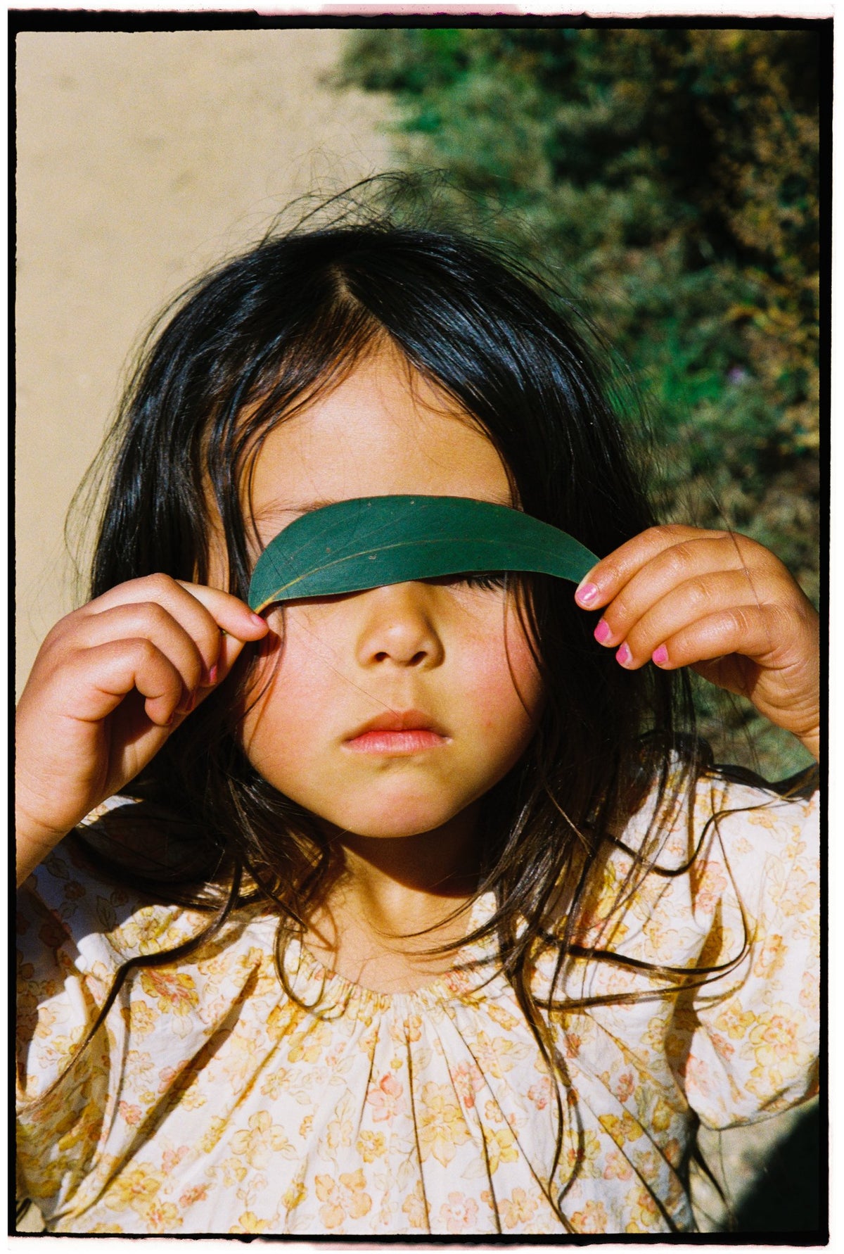 Photograph by Kalynda Schuliga, Hillvale Photo Trophy 2026 entry #0790