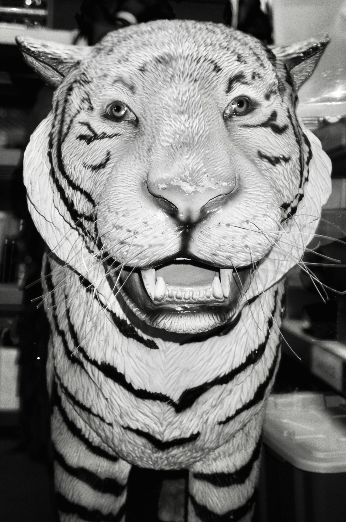 Photograph by Tamara Schumacher, Hillvale Photo Trophy 2026 entry #0794