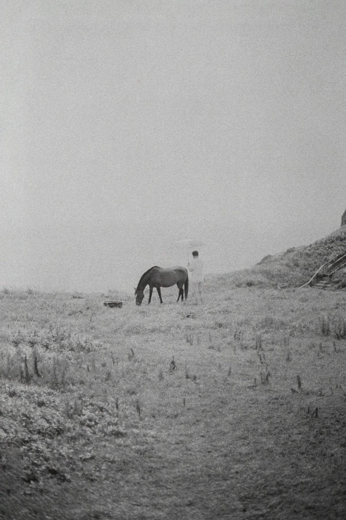 Photograph by Patricia Sofra, Hillvale Photo Trophy 2026 entry #0843