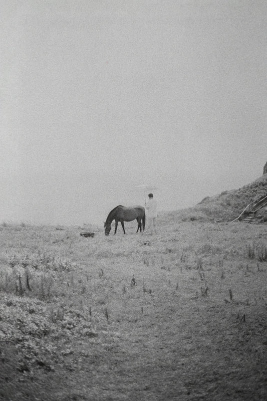Photograph by Patricia Sofra, Hillvale Photo Trophy 2026 entry #0843