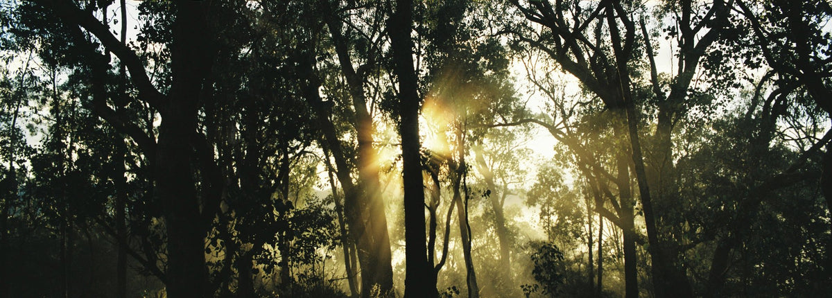 Photograph by Lachlan Stephen, Hillvale Photo Trophy 2026 entry #0849