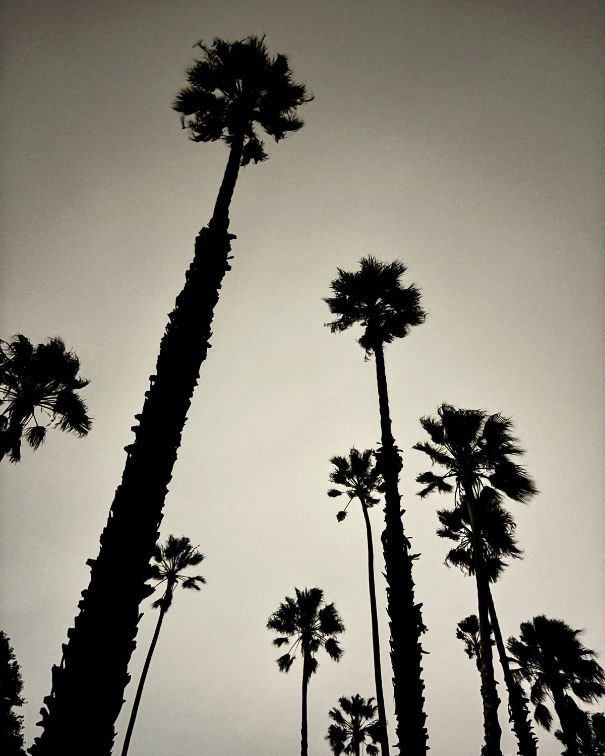 Photograph by Finn Stephenson, Hillvale Photo Trophy 2026 entry #0850