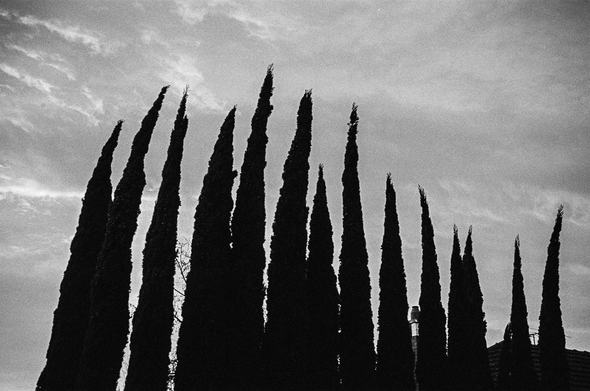 Photograph by Tony Stevens, Hillvale Photo Trophy 2026 entry #0852