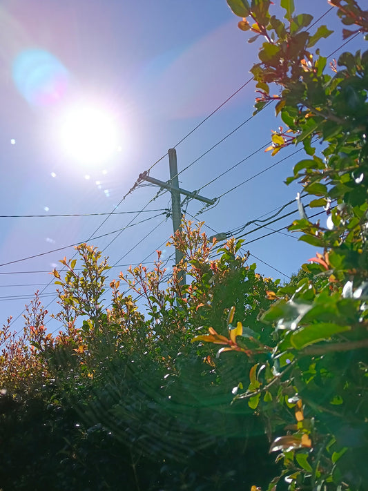 Photograph by Coralee Stewart, Hillvale Photo Trophy 2026 entry #0853