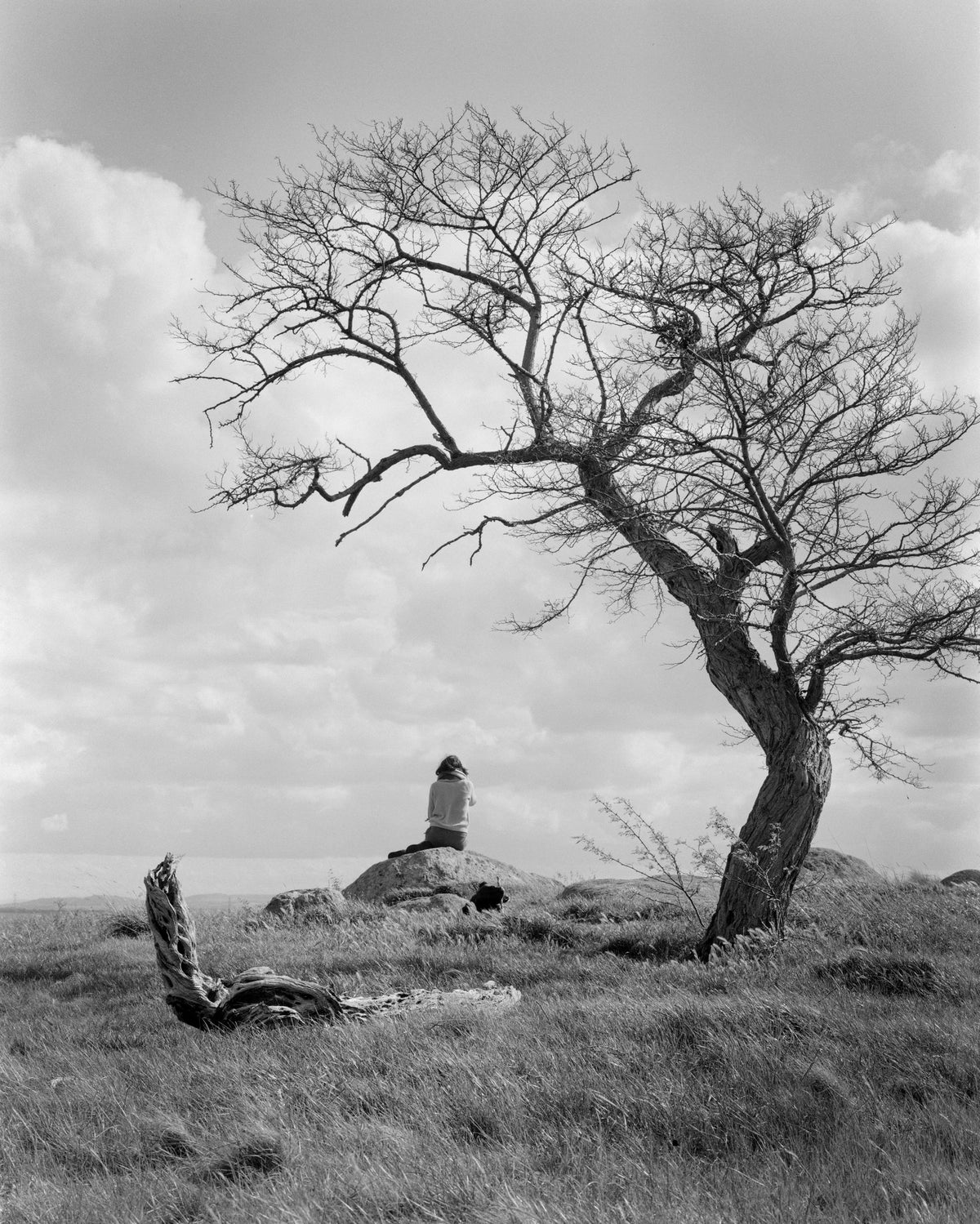 Photograph by Bryce Stoneham, Hillvale Photo Trophy 2026 entry #0860