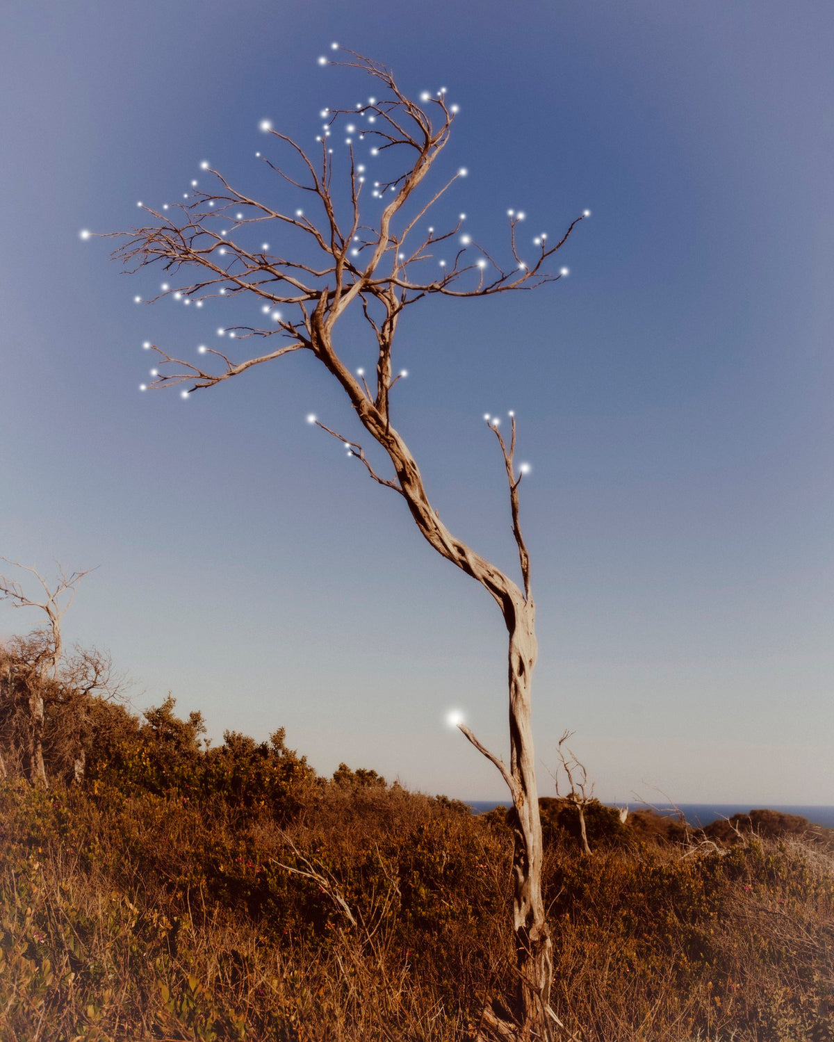 Photograph by Zac Tan, Hillvale Photo Trophy 2026 entry #0876
