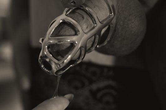 Photograph by Zoe Thomsen, Hillvale Photo Trophy 2026 entry #0893