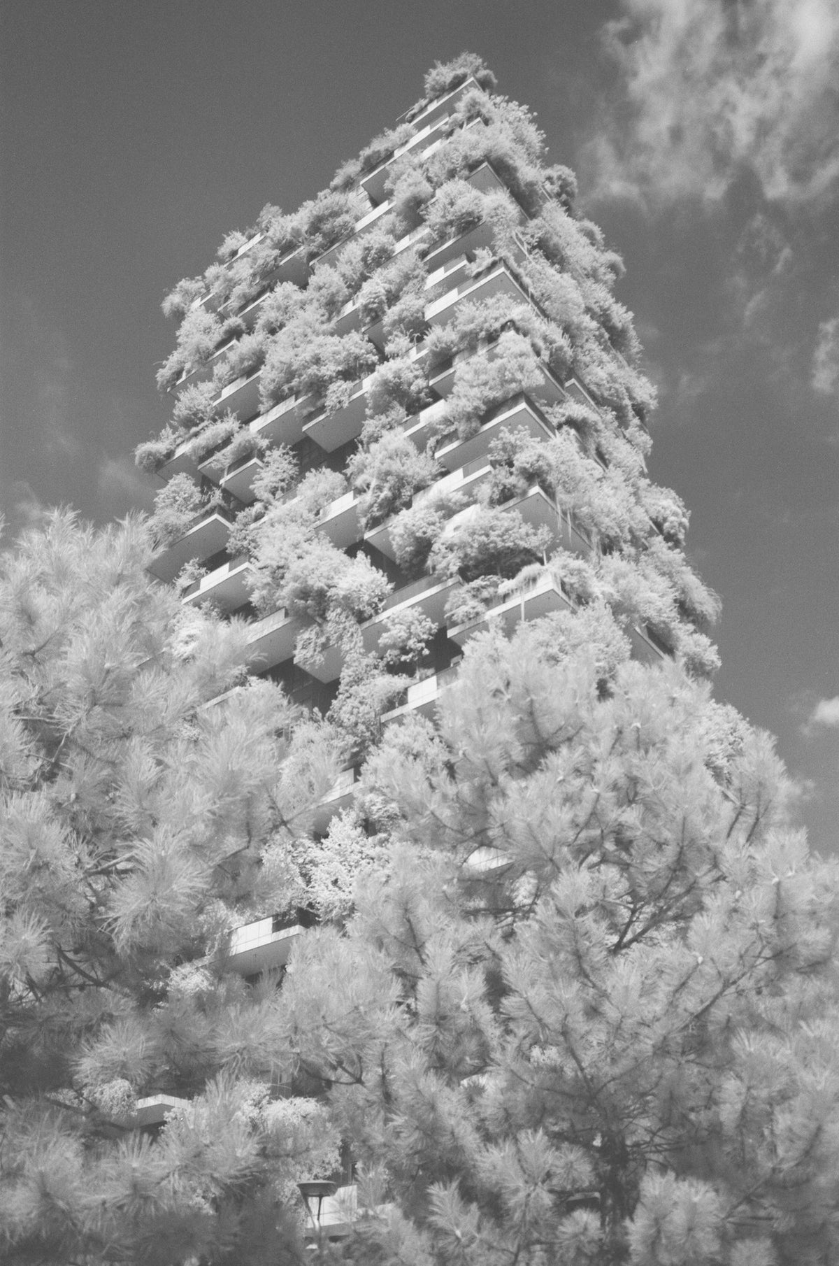 Photograph by Jesse-Lee Tomasi, Hillvale Photo Trophy 2026 entry #0904