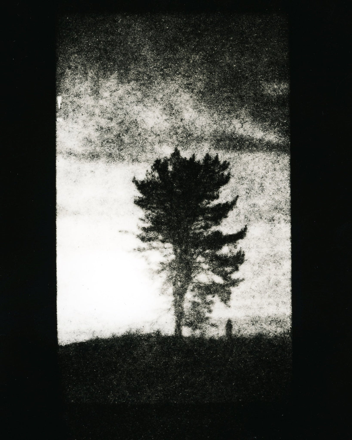 Photograph by Yuriy Turbin, Hillvale Photo Trophy 2026 entry #0924