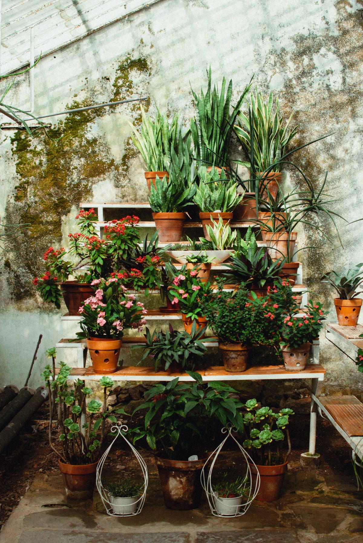 Photograph by Matej Turk, Hillvale Photo Trophy 2026 entry #0927