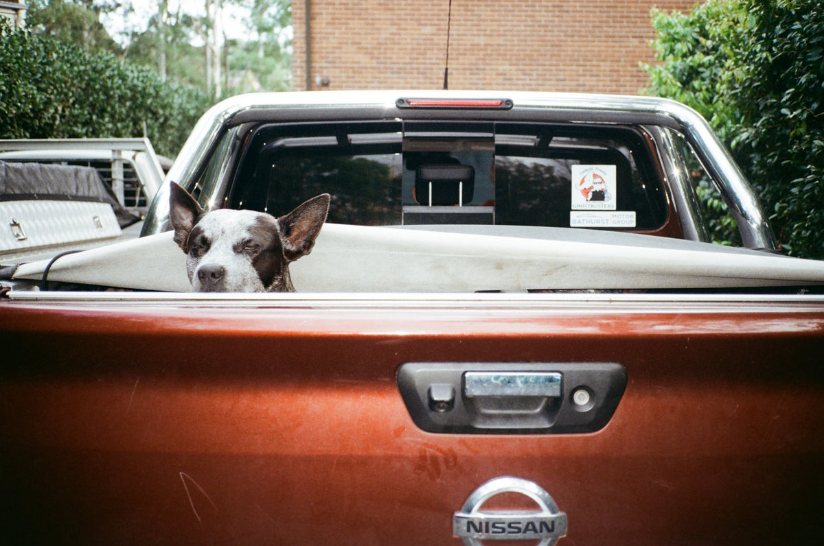 Photograph by Hannah Vieira, Hillvale Photo Trophy 2026 entry #0943