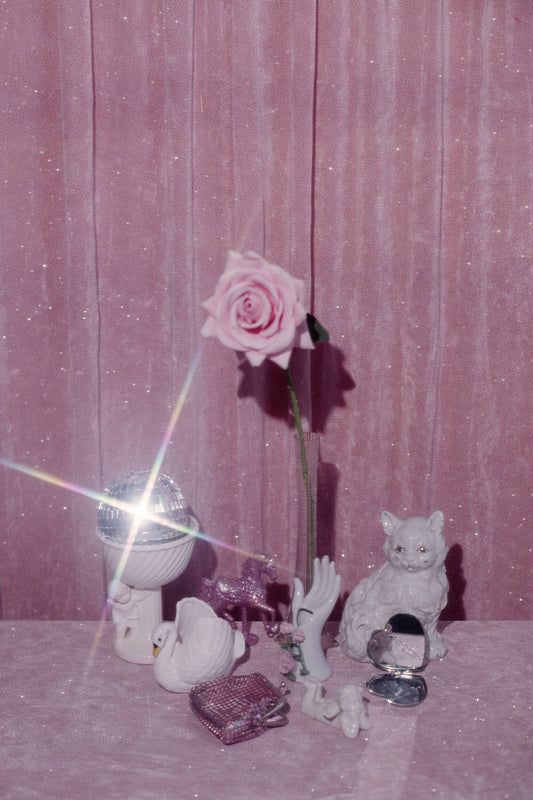 Photograph by Kalindy Williams, Hillvale Photo Trophy 2026 entry #0971