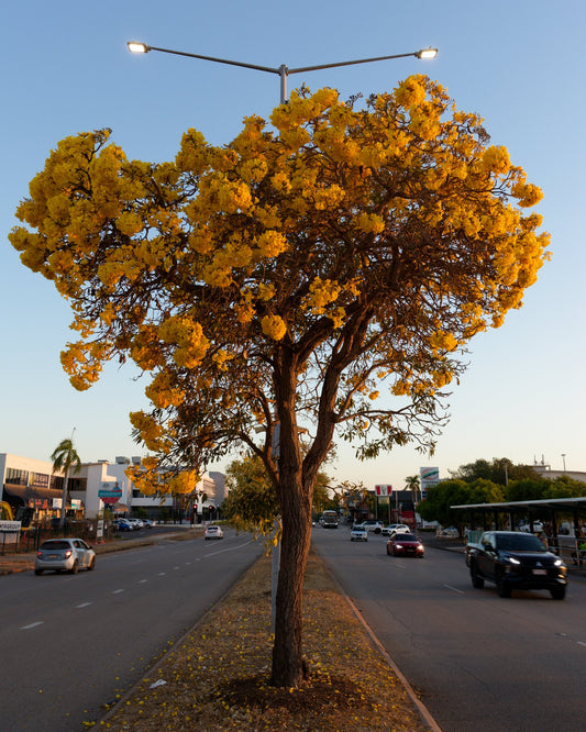 Photograph by Nick Yates, Hillvale Photo Trophy 2026 entry #0996