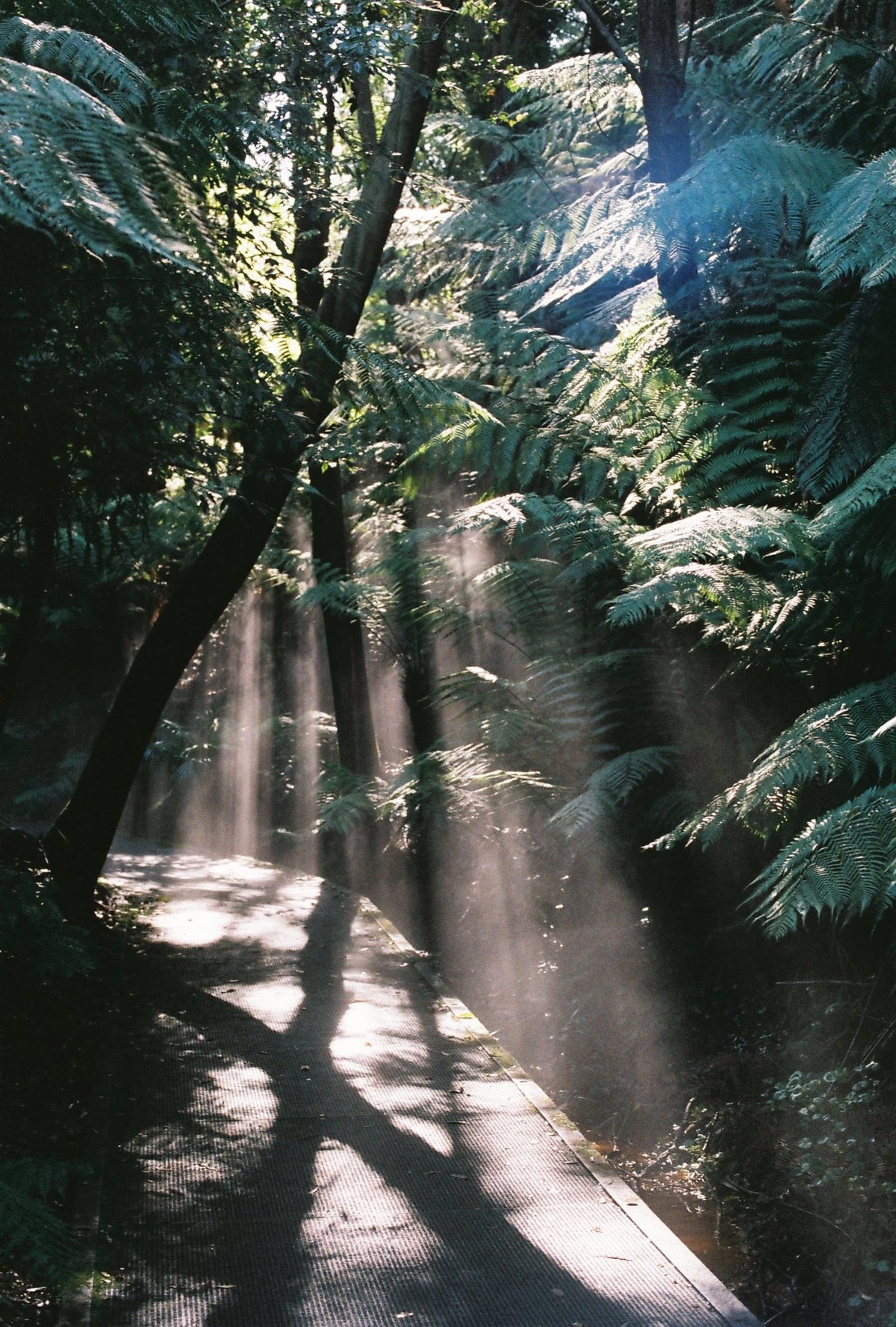 Photograph by Natasha Young, Hillvale Photo Trophy 2026 entry #0999