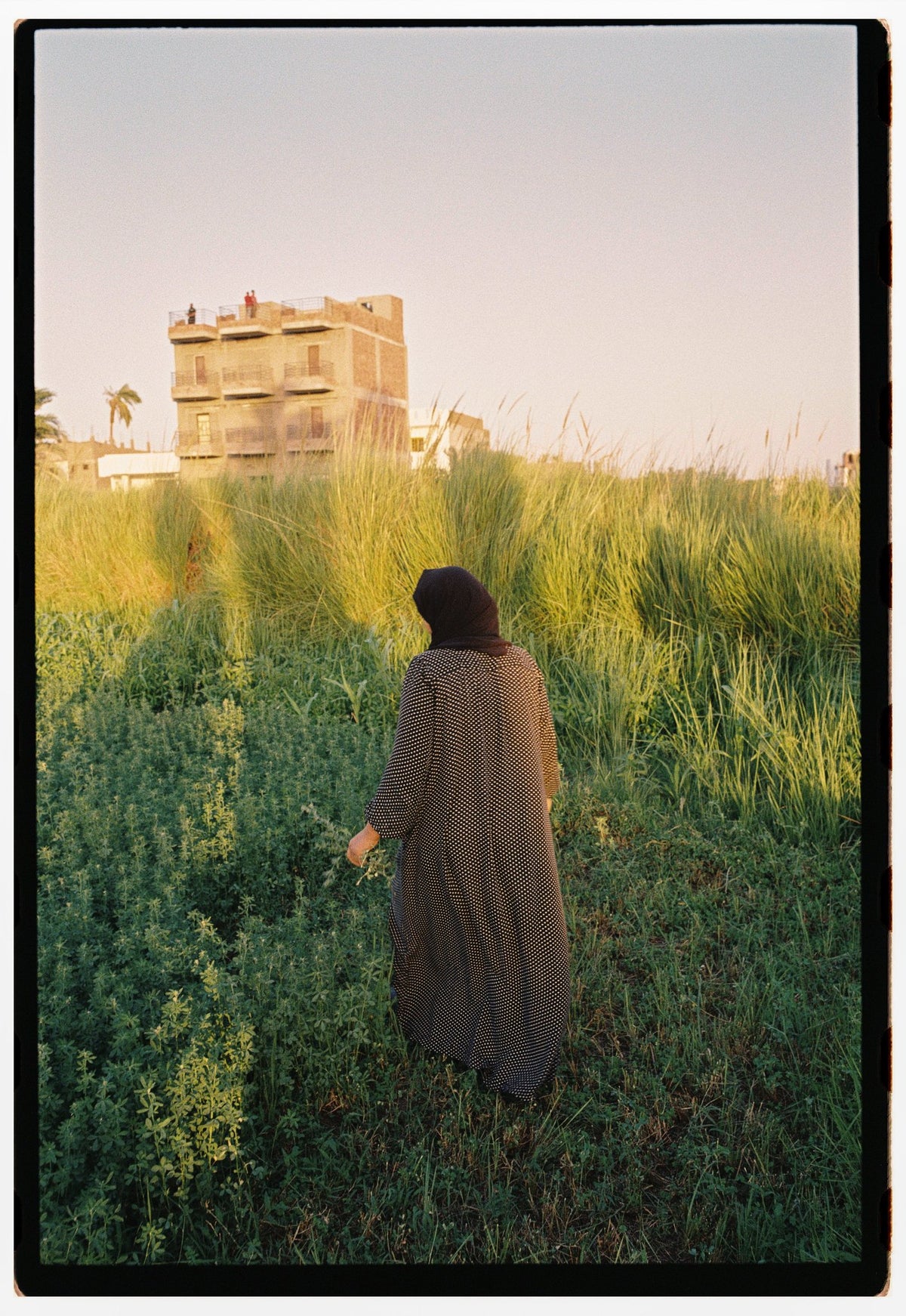 Photograph by Aleisha Zoumaras, Hillvale Photo Trophy 2026 entry #1009