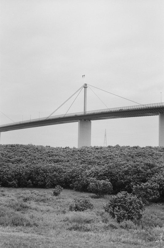 405