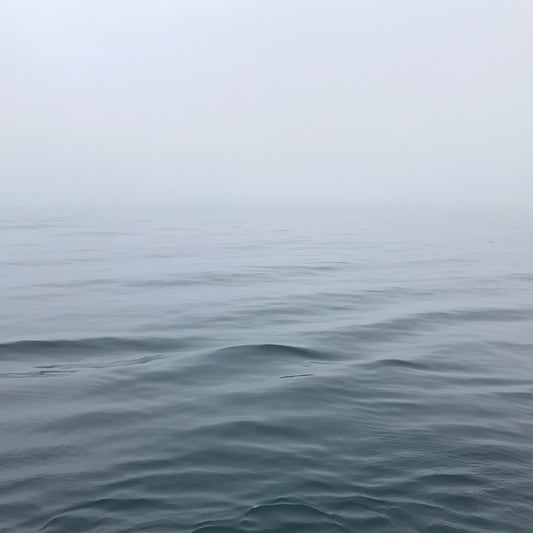 813